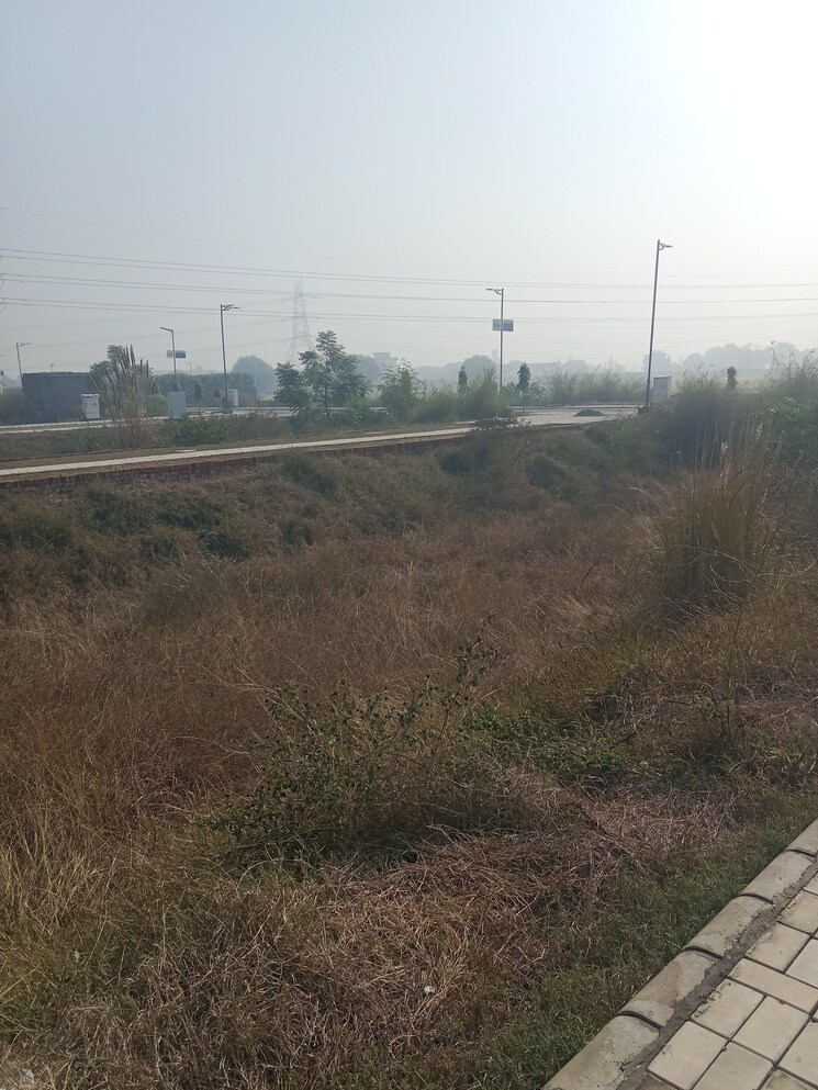 undefined, satya-merano-greens  161 Sq.Yd. Plot In Sector 99a Gurgaon 8047456