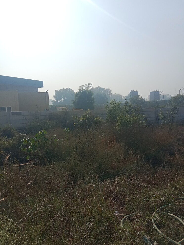 undefined, satya-merano-greens  161 Sq.Yd. Plot In Sector 99a Gurgaon 8047456