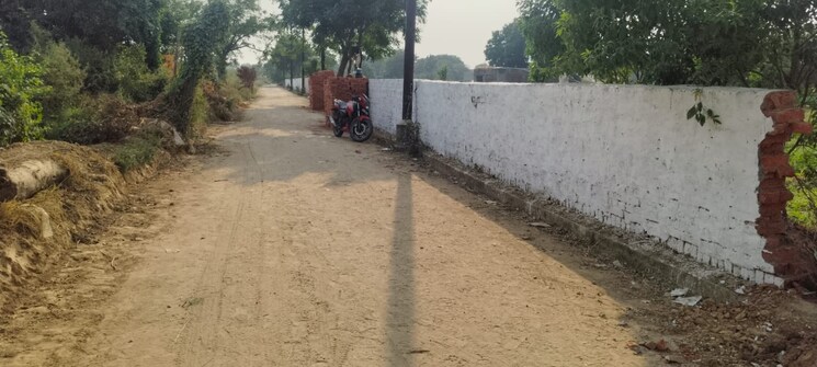 Exterior View, nitya-ecotech-2  100 Sq.Yd. Plot In Ecotech Ii Greater Noida Greater Noida 8047444