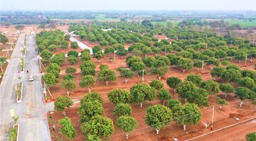  Plot – Garden View at Warangal Highway - for Sale