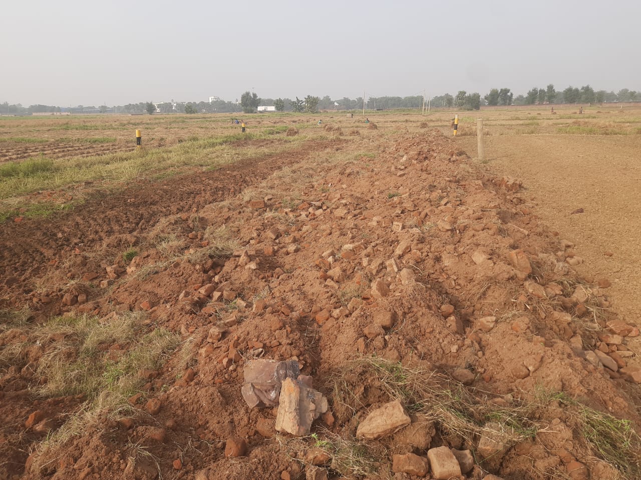 Plot For Sale in Bright Property 