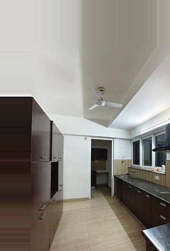 3.5 BHK Apartment For Rent in Sector 66-A Mohali  8047558