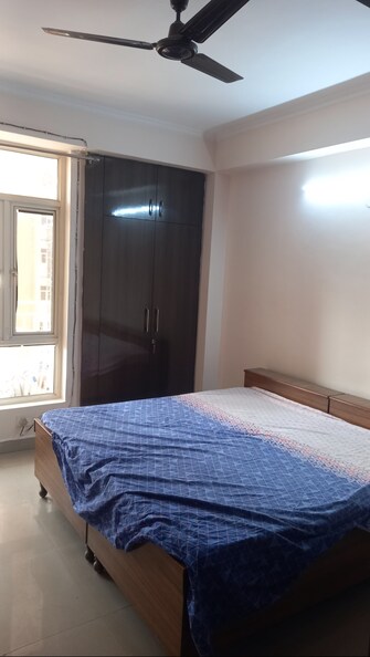 2 BHK Apartment For Rent in Supertech Ecovillage II Noida Ext Sector 16b Greater Noida  8047653