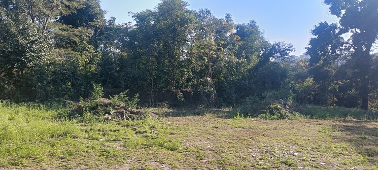 undefined, malsi  530 Sq.Yd. Plot In Malsi Dehradun 8048136