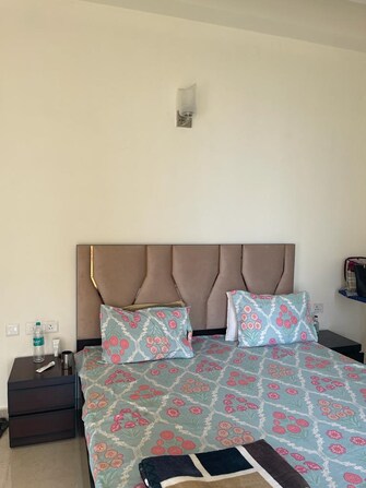 4 BHK Apartment For Rent in Mullanpur Mohali  8048892