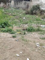 150 Sq.Yd. Plot in Sector 127