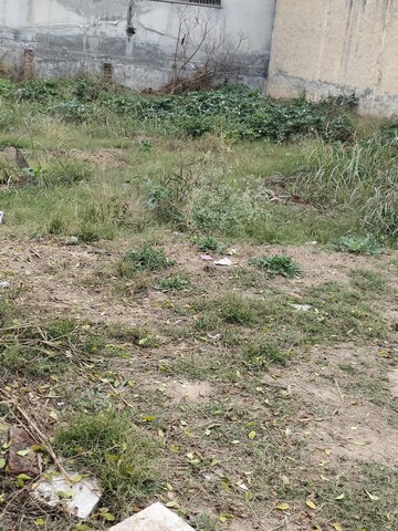 Plot Area in  Plot at Sector 127 – for Sale
