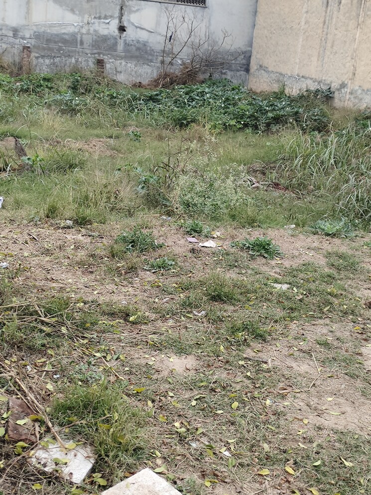 undefined, sector 127  150 Sq.Yd. Plot In Sector 127 Mohali 8048971