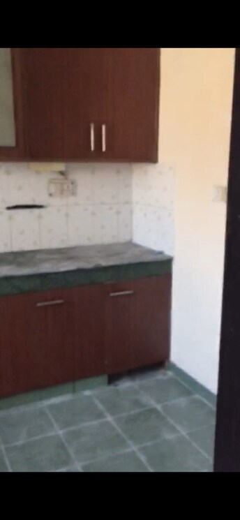 3 BHK Apartment For Rent in Purvanchal Kailash Dham SAS Sector 50 Noida  8049201