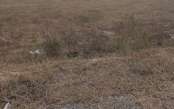 Plot For Sale in Pulgoan