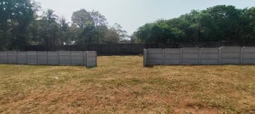 Plot Area in  Plot at Nellikunnu – for Sale