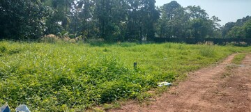 Plot Area in  Plot at Nellikunnu – for Sale