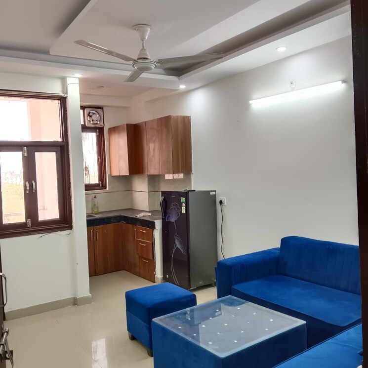 Living Room, freedom fighters enclave 1 Bedroom 450 Sq.Ft. Apartment In Freedom Fighters Enclave Delhi 8049428