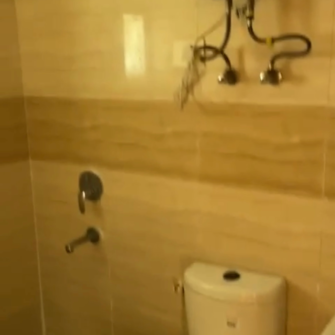 2 BHK Apartment For Rent in Supertech Ecociti Sector 137 Noida  8049520