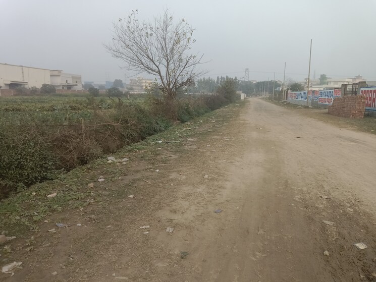 undefined, kasna  2360 Sq.Mt. Plot In Kasna Greater Noida 8049818
