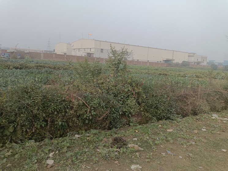 undefined, kasna  2360 Sq.Mt. Plot In Kasna Greater Noida 8049818
