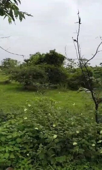 Commercial Land 10 Acre For Resale in Oragadam Chennai  8049864