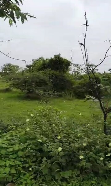 Plot Area in  Land at Oragadam – for Sale