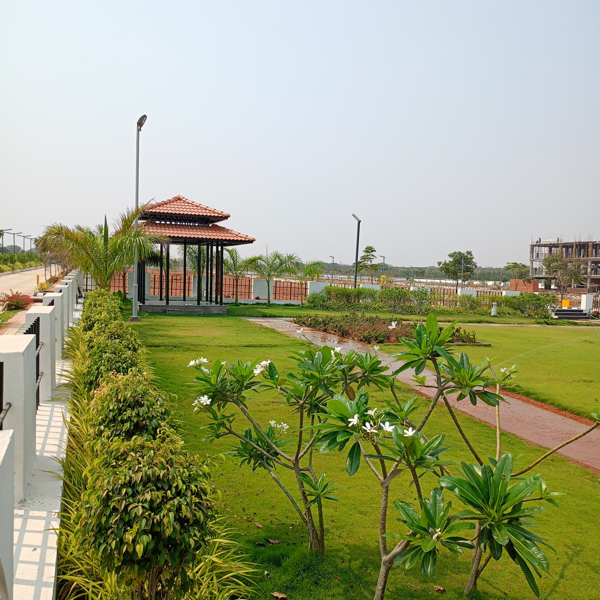 Plot For Sale in Serene City
