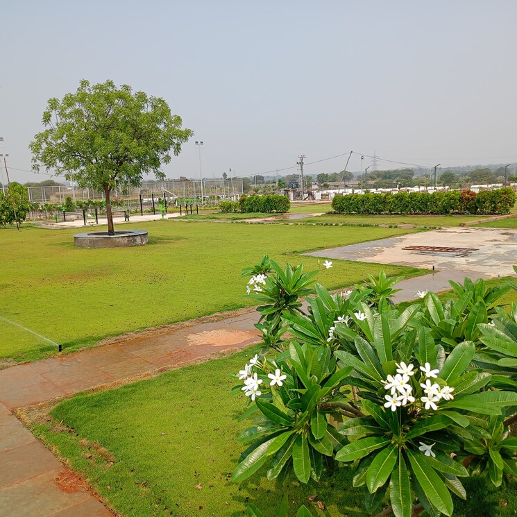 Garden, serene-city  150 Sq.Yd. Plot In Shadnagar Hyderabad 8049841