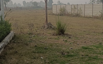 Plot For Sale in Kisan Path