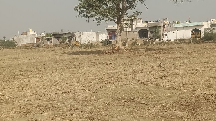 undefined, kandul  550 Sq.Yd. Plot In Kandul Raipur 8050104