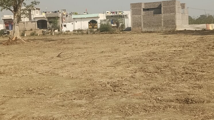 undefined, kandul  550 Sq.Yd. Plot In Kandul Raipur 8050104