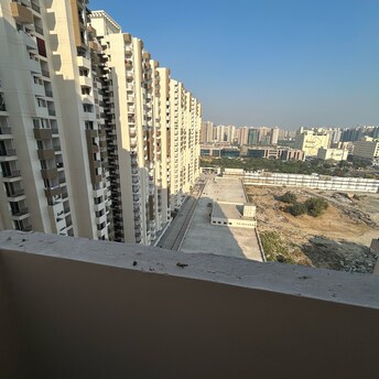 2.5 BHK Apartment For Rent in Amrapali Riverview Amrapali Leisure Valley Greater Noida  8050227