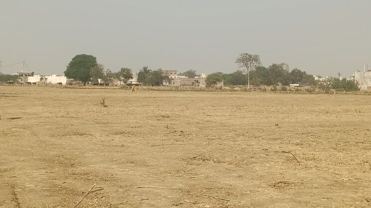 undefined, kandul  580 Sq.Yd. Plot In Kandul Raipur 8050577