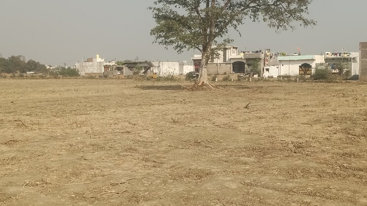 undefined, kandul  580 Sq.Yd. Plot In Kandul Raipur 8050577