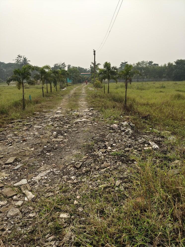 undefined, joka  1440 Sq.Ft. Plot In Joka Kolkata 8050749