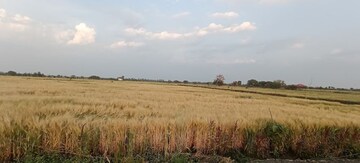 Plot Area in  Plot at Kolar Road – for Sale