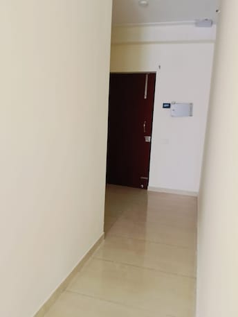 3 BHK Apartment For Rent in Noida Ext Knowledge Park V Greater Noida  8051008