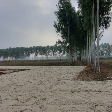 Plot Area in  Plot at Khushalipur – for Sale