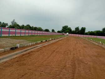 Plot For Resale in Esanakorai Tiruchirappalli  8034465