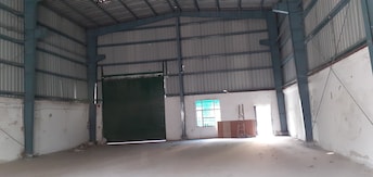 Commercial Warehouse 700 Sq.Ft. For Rent in Pace City 2 Gurgaon  8051265