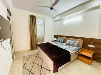 1 BHK Apartment For Rent in DLF Oakwood Estate Dlf Phase ii Gurgaon  8051333