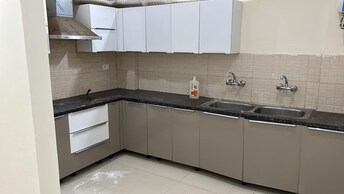 2 BHK Apartment For Rent in La Prisma Dhakoli Village Zirakpur  8051357