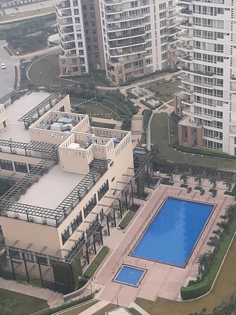 3 BHK Apartment For Rent in Pioneer Park Presidia Sector 62 Gurgaon  8051346