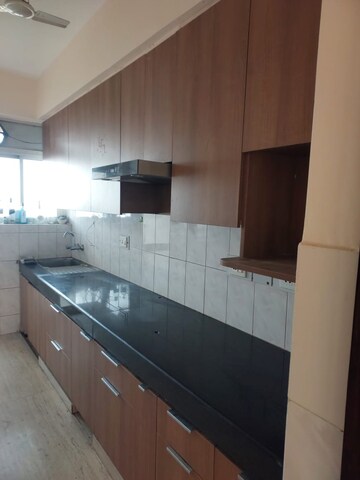 3 BHK Apartment For Rent in Tulip Violet, Sector 69