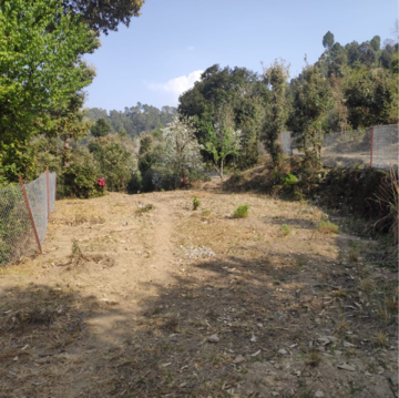  Plot For Sale in Mukteshwar