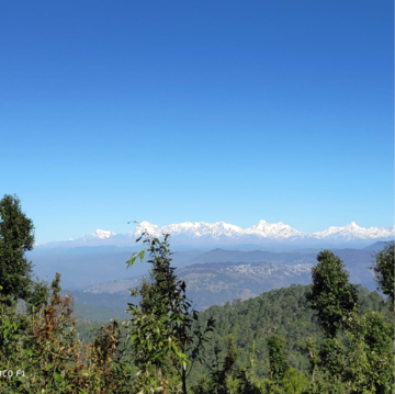  Plot – Garden View at Mukteshwar - for Sale