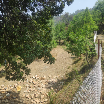 Plot Area in  Plot at Mukteshwar – for Sale