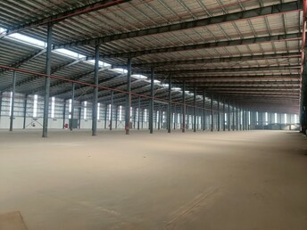 Commercial Warehouse 20000 Sq.Ft. For Rent in Gt Karnal Road Sonipat  7981281