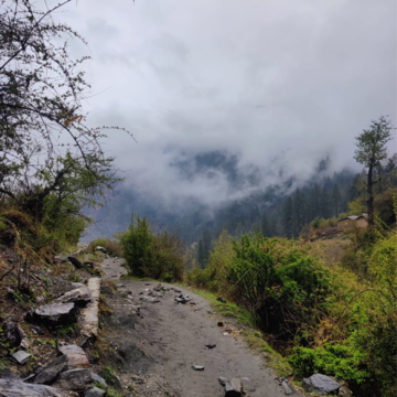 Plot Area in  Plot at Nathukhan – for Sale
