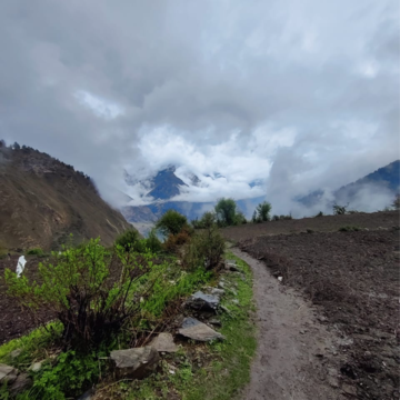 Plot Area in  Plot at Nathukhan – for Sale