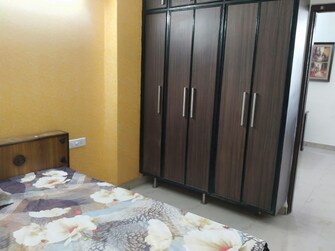 3 BHK Apartment For Rent in Maya Garden City Lohgarh Zirakpur  8051912