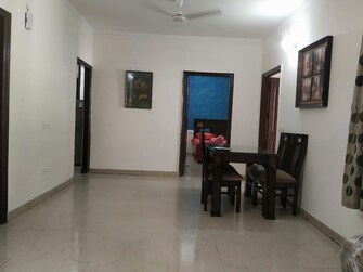 3 BHK Apartment For Rent in Maya Garden City Lohgarh Zirakpur  8051912