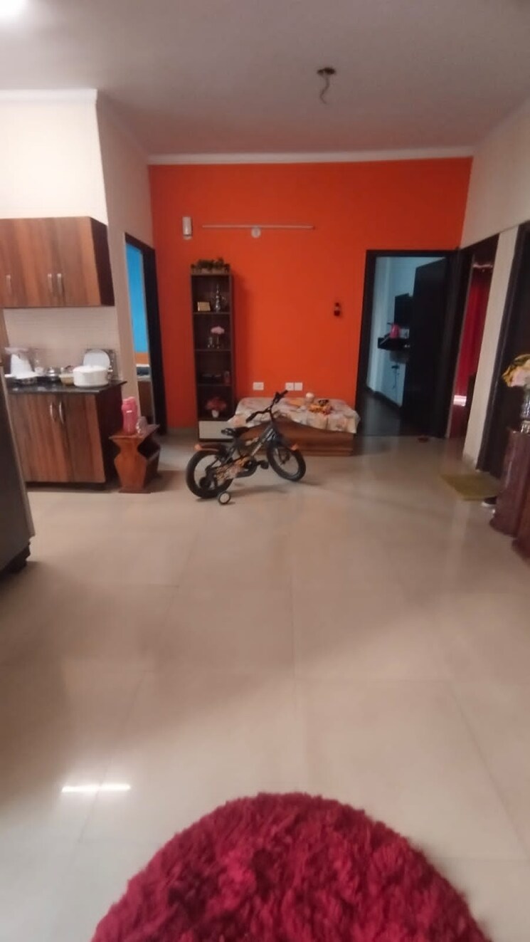 Living Room, amrapali-pan-oasis 2 Bedroom 1125 Sq.Ft. Apartment In Sector 70 Noida 8052051