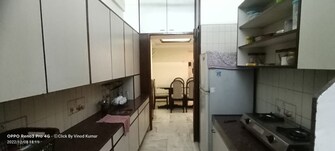 1 BHK Apartment For Rent in Deepak Mahal CHS Worli Mumbai  8052191